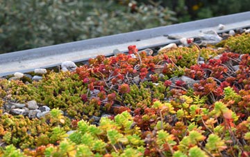 the cost of Mountfield green roof installation