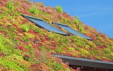 Mountfield living roof systems