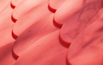 Mountfield plastic roof costs