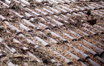 Mountfield roof cleaning companies